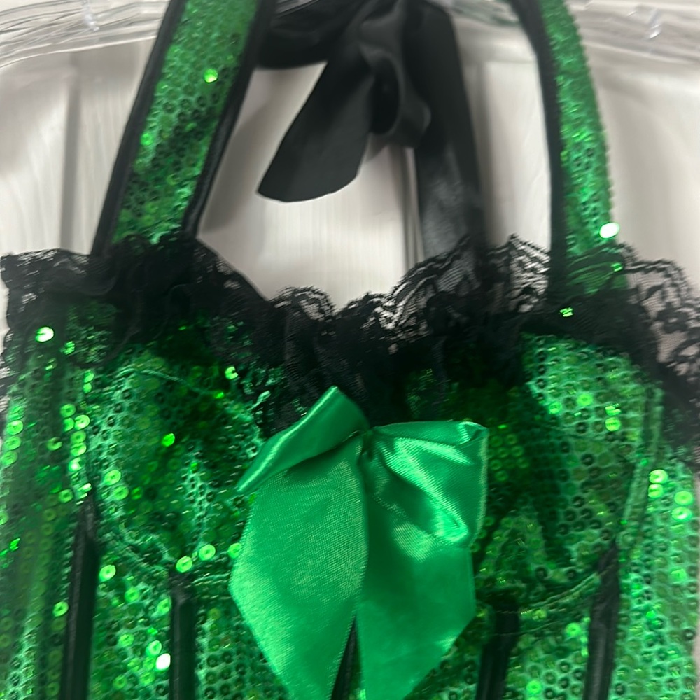 Gorgeous corset! Halloween! Costume! Saloon girl! Burlesque!